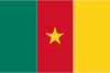 Cameroon Live Tv Channels