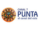 Canal 7 Punta live