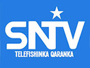 SNTV live