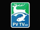 PV TV live