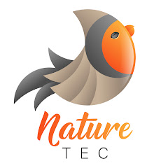 Watch Uplengen Bird and Hedgehog Feeder Cam Live