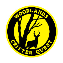 Critter Cove Deer and Wildlife Live Cam
