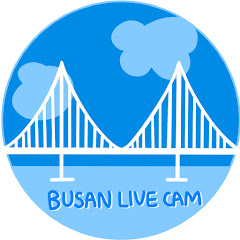 Watch Busan Gwangan Bridge Live Cam Live